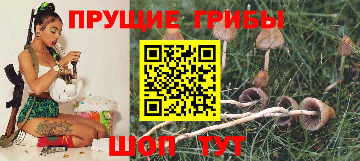 Галлюциногенные грибы Cubensis  Псилоцибиновые грибы Psilocybe  Прокопьевск  Вход с VPN 